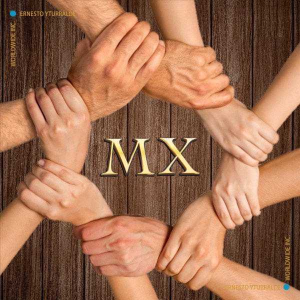 México Talleres de Cuerdas Bajas | Team Building Empresarial para el desarrollo de equipos de trabajo